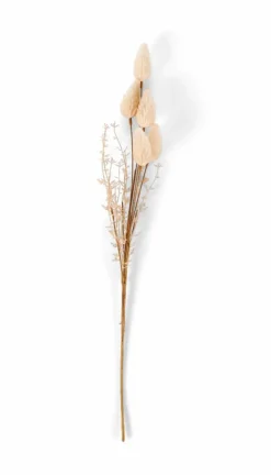 CASA ADDO Vaso Crema- Vasi