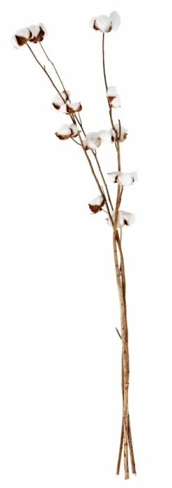 CASA ADDO Vaso Crema- Vasi