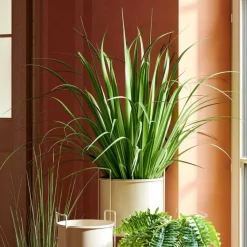 CASA ALLIUM Erba Decorativa Verde- Piante Artificiali