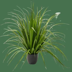 CASA ALLIUM Erba Decorativa Verde- Piante Artificiali