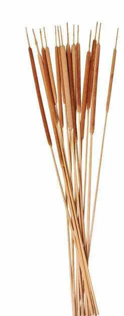 CASA BAMBOO Cassettiera 2 Cassetti Naturale- Cassettiere