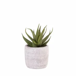 CASA BAZAAR Vaso Da Fiori Naturale- Vasi Decorativi|Vasi Di Fiori