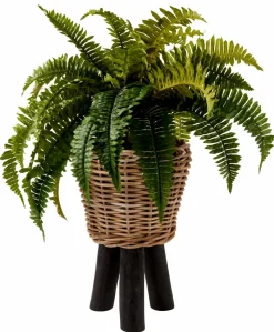 CASA BAZAAR Vaso Da Fiori Naturale- Vasi Decorativi|Vasi Di Fiori