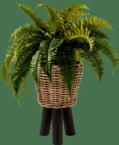 CASA BOSTON Felce Verde- Piante Artificiali