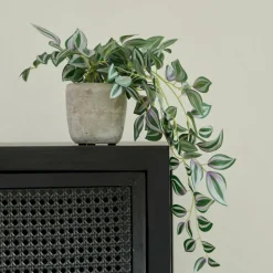 CASA CALATHEA Pianta Sospesa Grigio, Verde, Viola- Piante Artificiali
