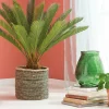 CASA CYCAS Palma Verde- Piante Artificiali