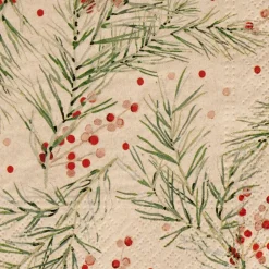 CASA ECO HOLLY Set Di 20 Tovaglioli Multicolore- Tovaglioli