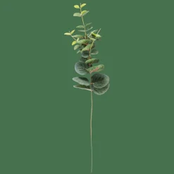 CASA EUCALYPTUS Ramo Artificiale Verde- Rami Artificiali