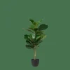 CASA FIGI Nero, Verde Scuro- Piante Artificiali