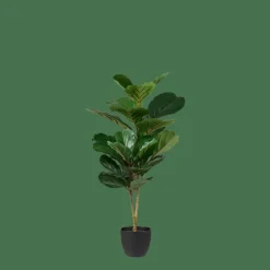 CASA FIGI Nero, Verde Scuro- Piante Artificiali
