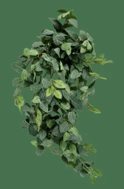 CASA FITTONIA Ghirlanda Di Foglie Verde- Piante Artificiali|Rami Artificiali