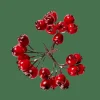 CASA FOAM Decorazione Cinorrodo Rosso- Rami Artificiali