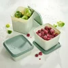 CASA FREEZER Scatole X Freezer Set Di 10 Menta, Verde Scuro- Scatole Conserva Vivande