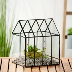 CASA GREENHOUSE Serra Minuscola Trasparente- Supporti Per Piante
