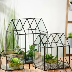 CASA GREENHOUSE Serra Trasparente- Supporti Per Piante