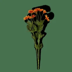 CASA INDI Arancione- Fiori Artificiali|Autunno