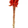 CASA LAGURUS Piumino Rosso- Fiori Artificiali