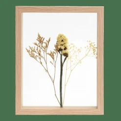 CASA LIMONIUM Decorazione Da Parete Naturale- Decorazioni Da Parete
