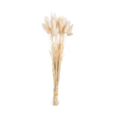 CASA LINDE Vaso Beige- Vasi