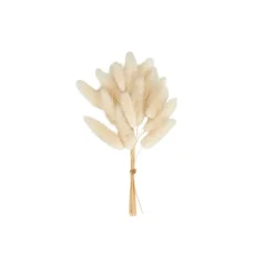 CASA MINA Deco Essiccata Bianco- Fiori Artificiali