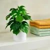 CASA MONSTERA Pianta Vari Colori- Piante Artificiali