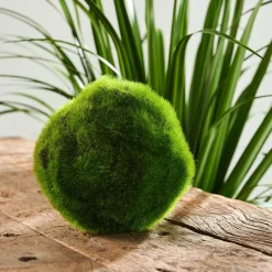 CASA MOSS Sfera Di Muschio Verde- Piante Artificiali