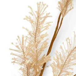 CASA PAMPA Pampas Bianco- Rami Artificiali|Autunno