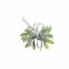 CASA PIM Filo Luminoso 25 Luci Led Verde- Fili Luminosi