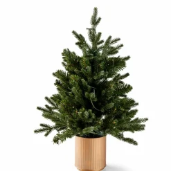 CASA PIM Filo Luminoso 25 Luci Led Verde- Fili Luminosi