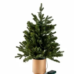 CASA PIM Filo Luminoso 25 Luci Led Verde- Fili Luminosi