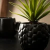 CASA PINA Pianta D'ananas In Vaso Nero- Piante Artificiali