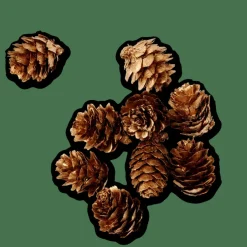 CASA PINECONE Decorazione Sfusa Dorato- Figurine Decorative