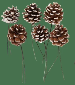 CASA PINECONE Pigne Set Da 6 2 Colori Bianco, Argentato- Autunno