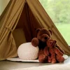 CASA POLA Orso Marrone- Kids