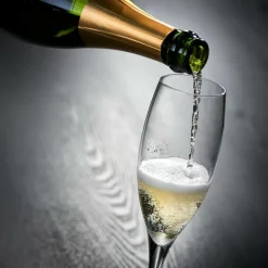 CASA PREMIUM Flûte 26 CL- Calice Spumante