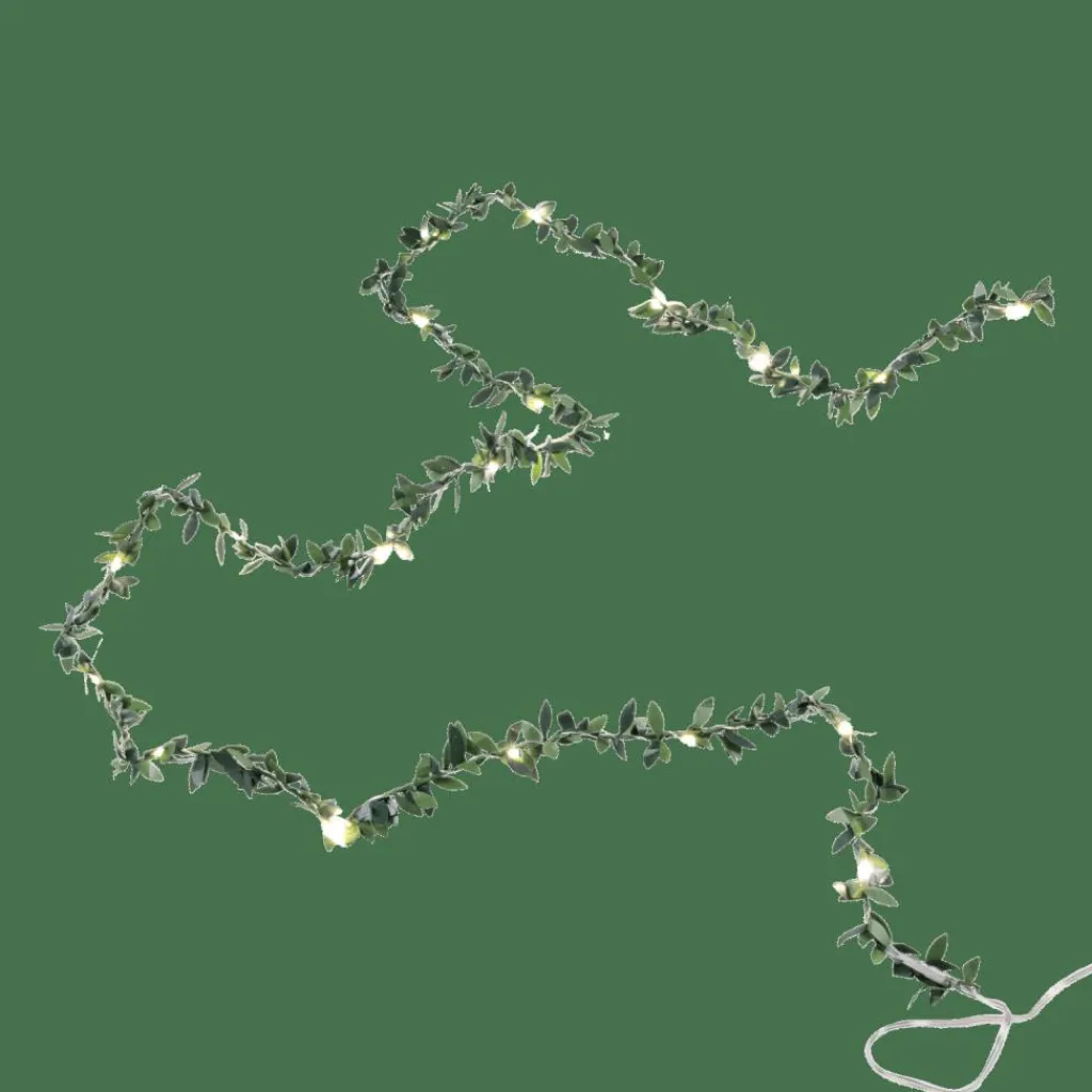 CASA RIKA Filo Luminoso 20 Leds Verde- Fili Luminosi|Illuminazione Esterna