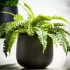 CASA SENSE Vaso Da Giardino Nero- Vasi Di Fiori|Vasi Da Giardino