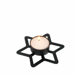 CASA STAR Decorazioni Secche- Fiori Artificiali