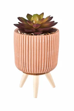CASA TEAK Supporto Naturale- Supporti Per Piante