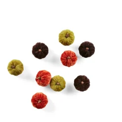 CASA VELVET 9 Zucche Decorative Multicolore- Fiori Artificiali|Halloween