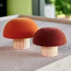 CASA VELVET Fungo Naturale, Bordeaux, Multicolore- Autunno