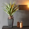 CASA VERA Aloe Vera Verde- Piante Artificiali