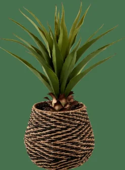 CASA VERA Aloe Vera Verde- Piante Artificiali